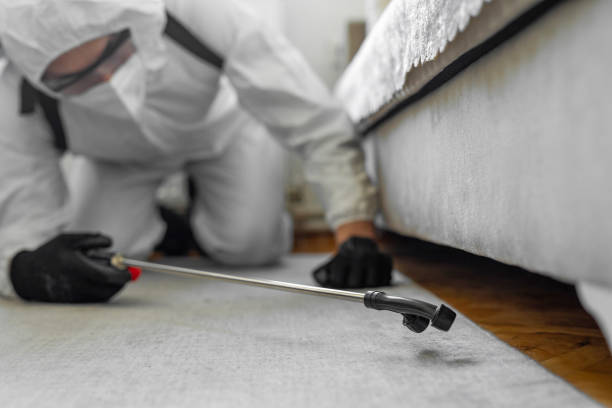 Professional Cockroach Control technician working in Marion County County, KY